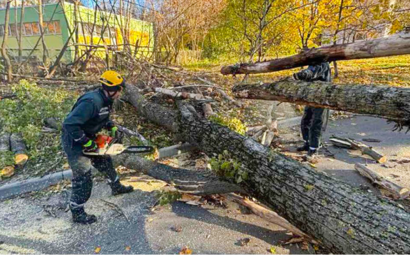 Рятувальники прибирають повалені дерева та аварійні конструкції: фото наслідків негоди у столиці