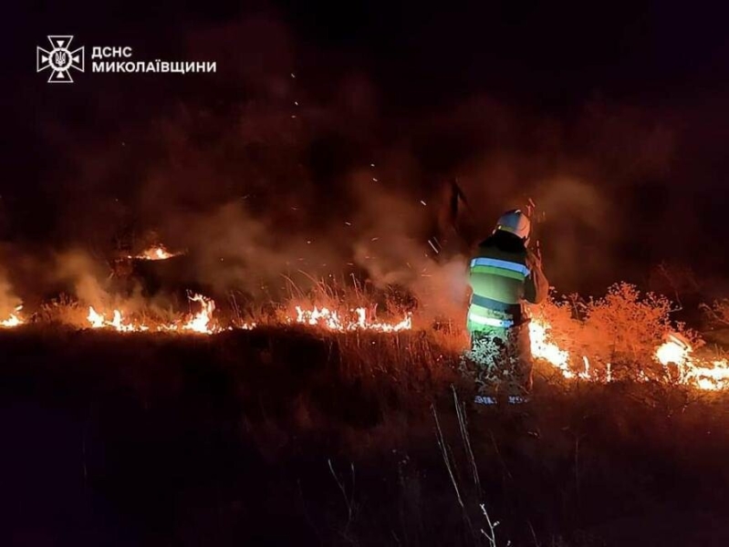 Горіли суха трава, автомобіль і житлові будинки. На Миколаївщині рятувальники ліквідовували пожежі, - ФОТО