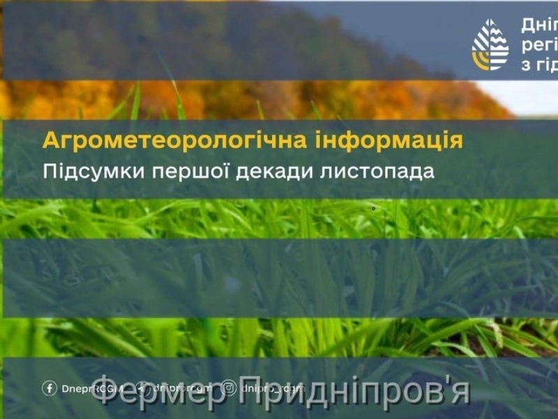 Тепла погода першої декади листопада у Придніпров'ї сприяла вегетації озимих