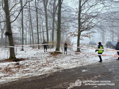 Усі будинки відновимо: мешканцям села на Буковині, де впали уламки ракети, нададуть допомогу