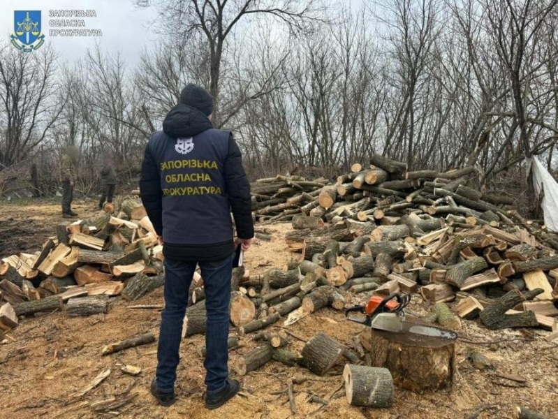 У Запорізькому районі викрили злочинну групу, яка займалася незаконною лісозаготівлею