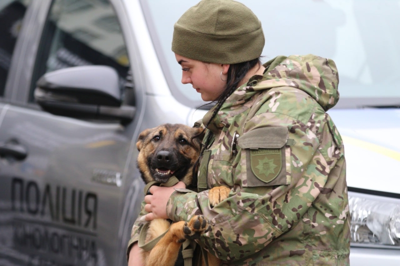 Чотириногі детектори: як собаки допомагають розмінувати Україну