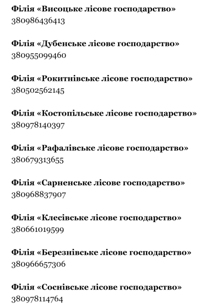 Ялинкові базари Рівненщини уже чекають покупців