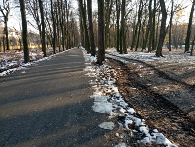 Ремонт доріжок у парку Чернівців затягнувся через сніг - фото